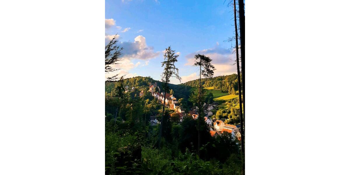 Erdgeschoßwohnung Altensteig - 1 Zimmer, 46 m&sup2;, 400&euro; | Angebot:25332636