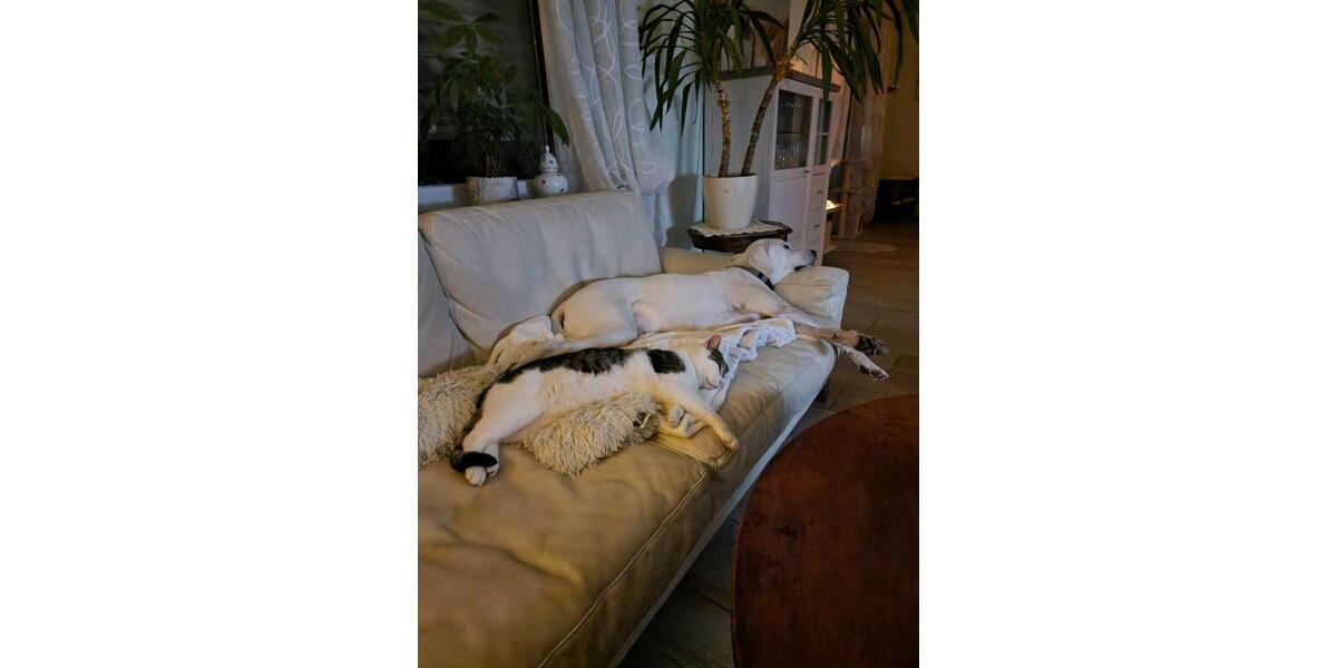 Wohnen auf Zeit Langerringen - 2 Zimmer, 30 m&sup2;, 350&euro; | Angebot:25660296