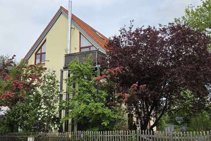 Wohnung Dresden Naußlitz - 1 Zimmer, 44 m&sup2;, 437&euro; | Angebot:26744850