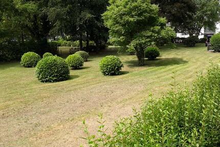 3,5 Zimmer Wohnung in Dorsten Feldmark zu vermieten; 01.03.26 3 zimmer