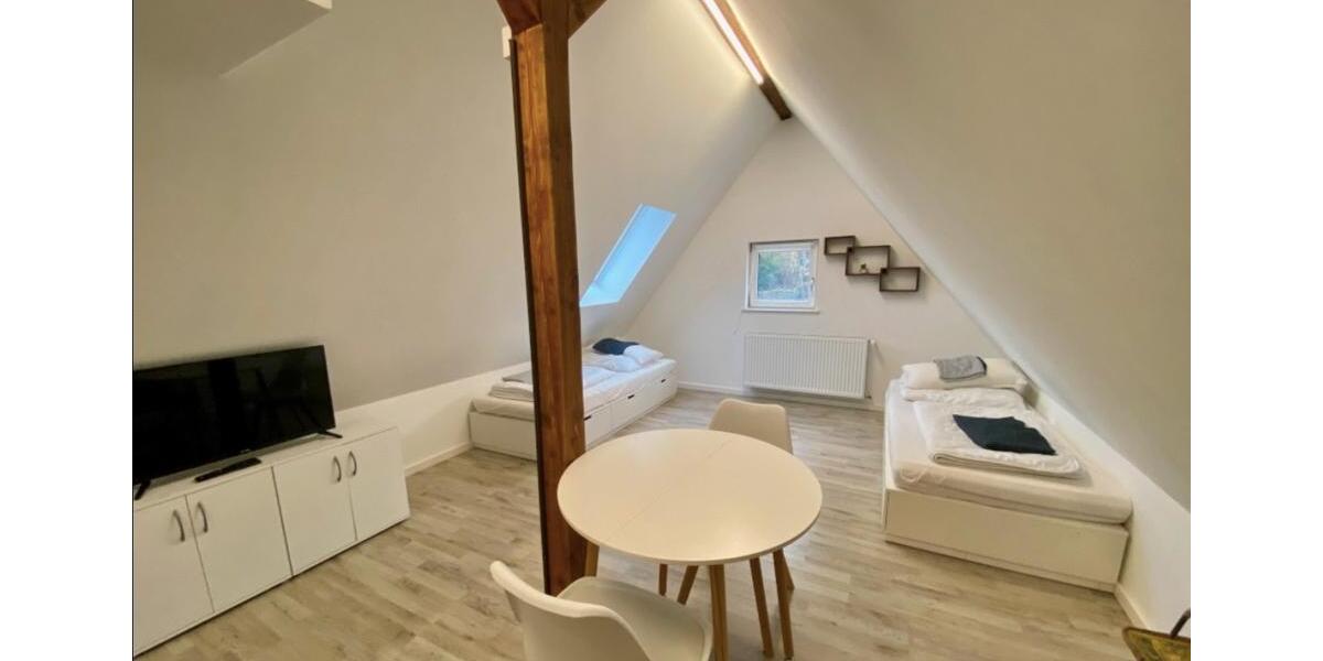 Dachgeschoßwohnung Esslingen am Neckar Pliensauvorstadt - 1 Zimmer, 107 m&sup2;, 750&euro; | Angebot:25270866