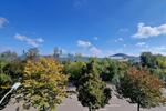 Wohnen auf Zeit Heilbronn Frankenbach - 1 Zimmer, 15 m&sup2;, 600&euro; | Angebot:23437126