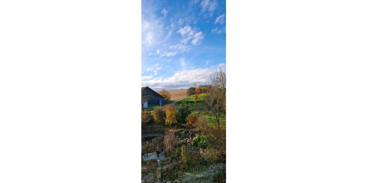 Gewerbeobjekt Ittlingen - 220&euro; | Angebot:26032216