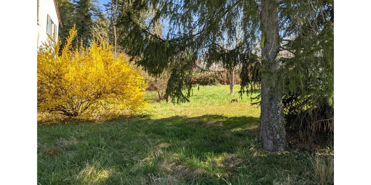 Wohnen auf Zeit Esslingen am Neckar Hegensberg - 2 Zimmer, 23 m&sup2;, 290&euro; | Angebot:25677543