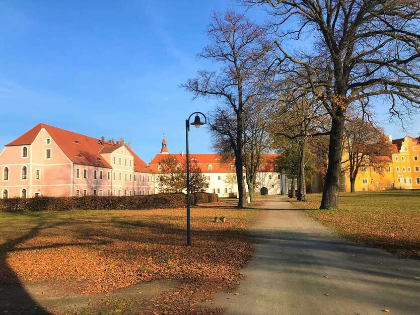 NEU -frisch renoviert. Gut geschnittene 4 Zimmer mit Balkon und Einbauküche! 4 zimmer