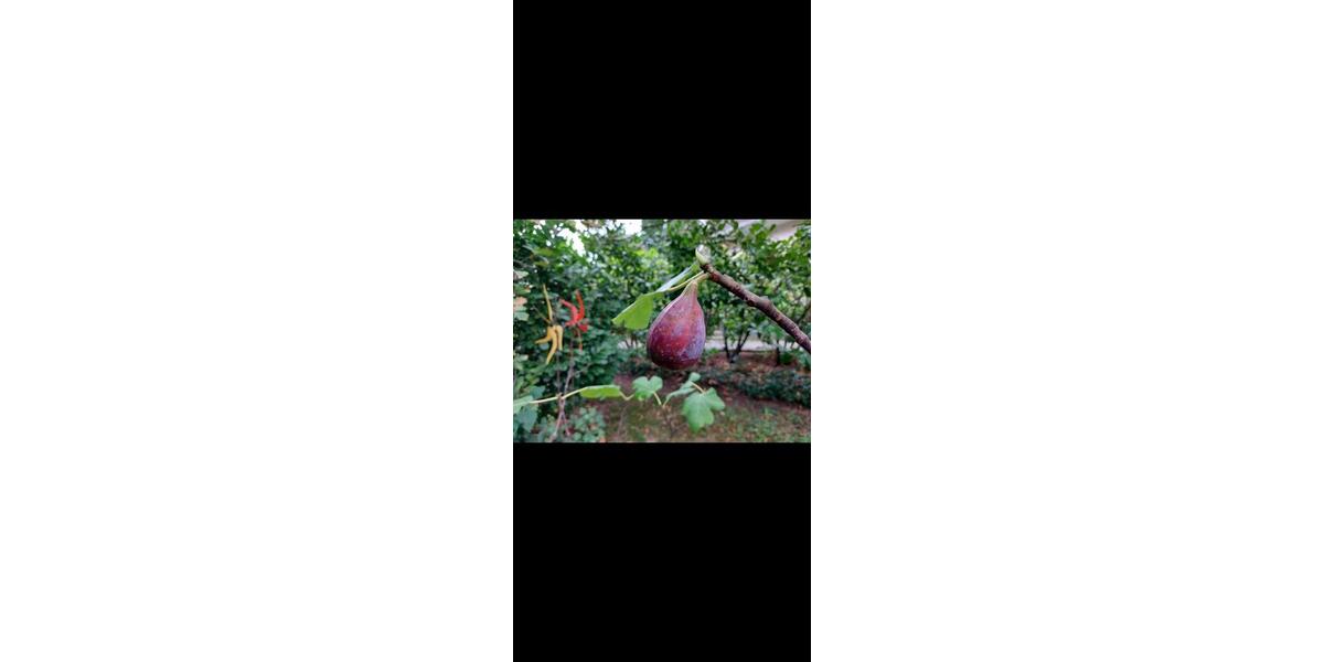 110 qm Haus für ruhige Nichtraucher an den Aschaffauen in Damm 5 zimmer