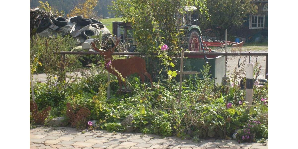 Etagenwohnung Rückholz - 1 Zimmer, 34 m&sup2;, 290&euro; | Angebot:26023268