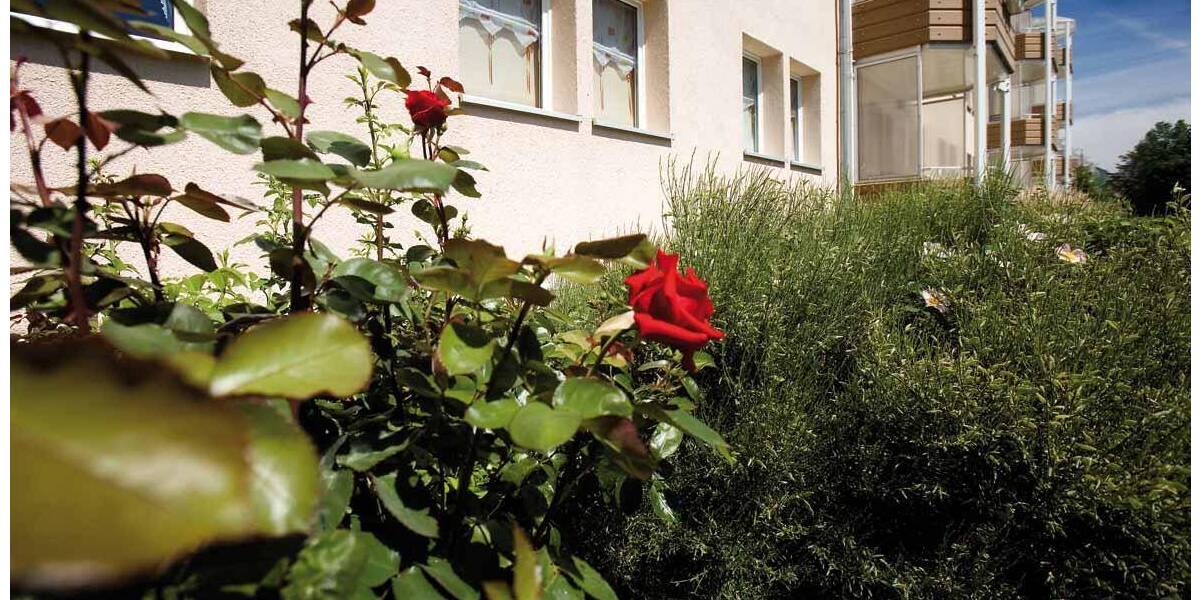 Etagenwohnung Magdeburg Reform - 3 Zimmer, 58 m&sup2;, 377&euro; | Angebot:25986951