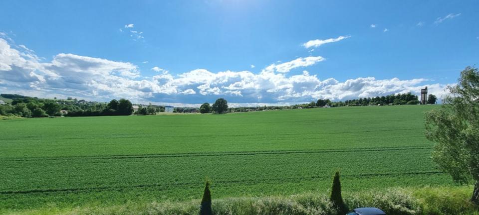 !! Attraktiv neu hergerichtete 3 Zi. Whg. mit Fernblick in Geringswalde bei Colditz Döbeln mit mögl. Gartenanteil und Glasfaseranschluss !!