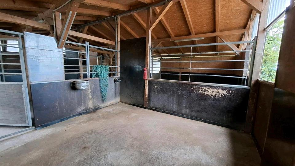 Etagenwohnung Petershagen - 4 Zimmer, 106 m&sup2;, 1.500&euro; | Angebot:26695588