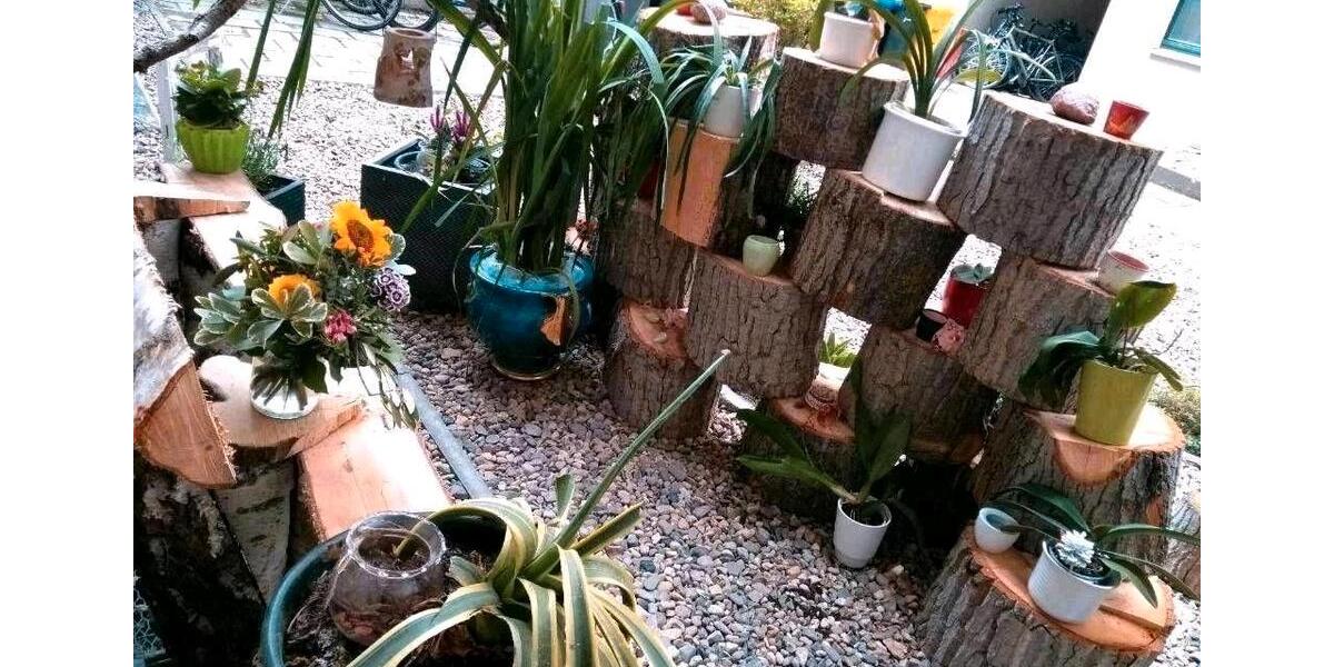 Wohnen auf Zeit Magdeburg - 2 Zimmer, 55 m&sup2;, 980&euro; | Angebot:26272124