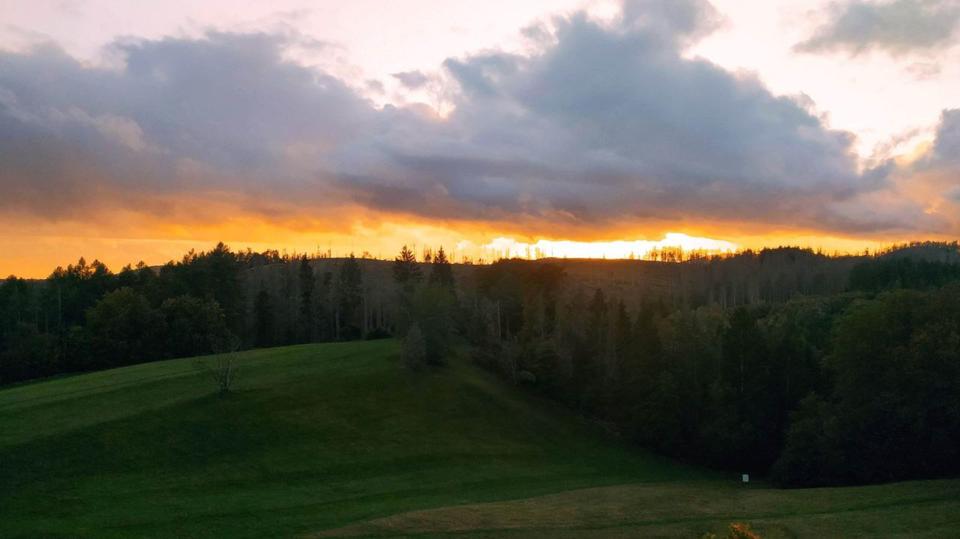 Wohnen auf Zeit Braunlage - 1 Zimmer, 37 m&sup2;, 100&euro; | Angebot:25835303