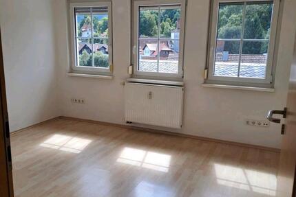 helle, tageslichtdurchflutete DG-Wohnung in Bischofsheim (Rhön) 1 zimmer