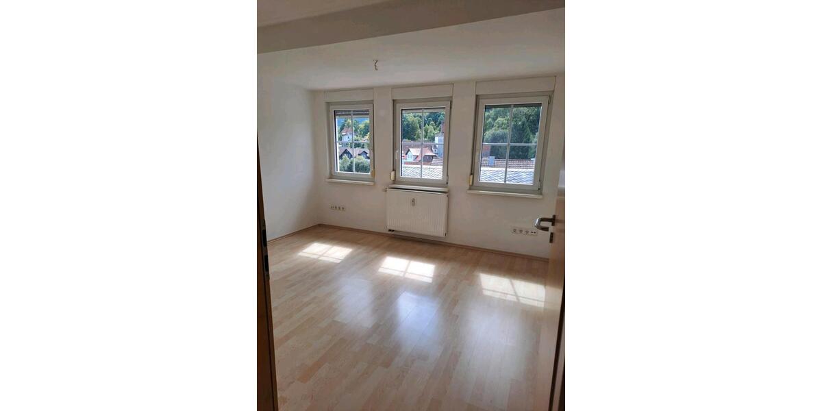 helle, tageslichtdurchflutete DG-Wohnung in Bischofsheim (Rhön) 1 zimmer