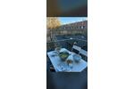 Wohnen auf Zeit Mannheim Neckarstadt-Ost - 1 Zimmer, 20 m&sup2;, 540&euro; | Angebot:26486588