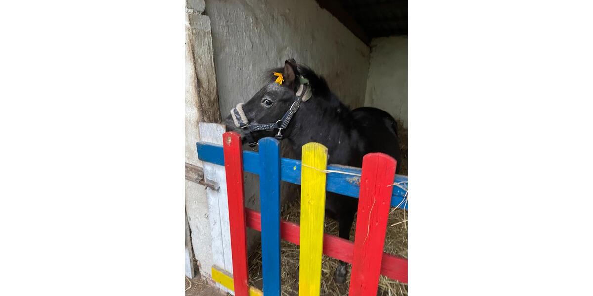 Wohnen auf Zeit Steinhöfel - 15 Zimmer, 18 m&sup2;, 350&euro; | Angebot:25757048