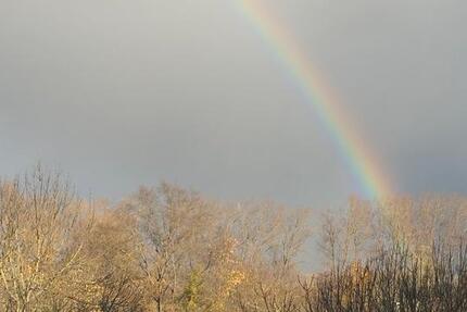 Wohnung Mainz Laubenheim - 1 Zimmer, 17 m&sup2;, 322&euro; | Angebot:25253751