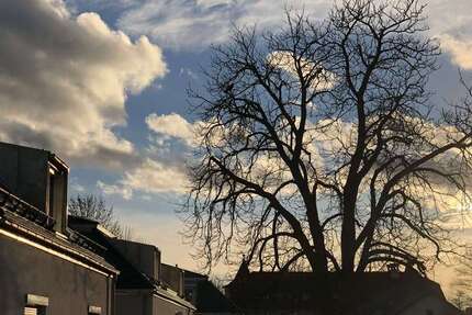 Wohnung zum Mieten in München 1.575 € 63.03 m² 2 zimmer