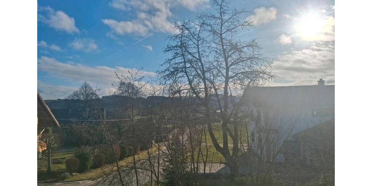 Erdgeschoßwohnung Cham - 2 Zimmer, 100 m&sup2;, 720&euro; | Angebot:25929833