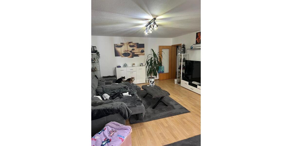 Etagenwohnung Erbach - 2.5 Zimmer, 100 m&sup2;, 1.100&euro; | Angebot:24610917