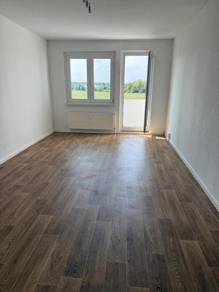 renovierte 3-Zimmerwohnung mit Balkon