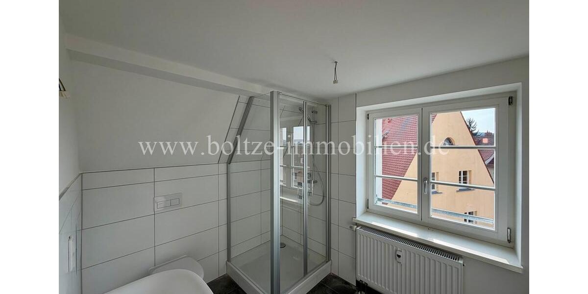 Dachgeschoßwohnung Naumburg (Saale) - 2 Zimmer, 44 m&sup2;, 310&euro; | Angebot:25806754