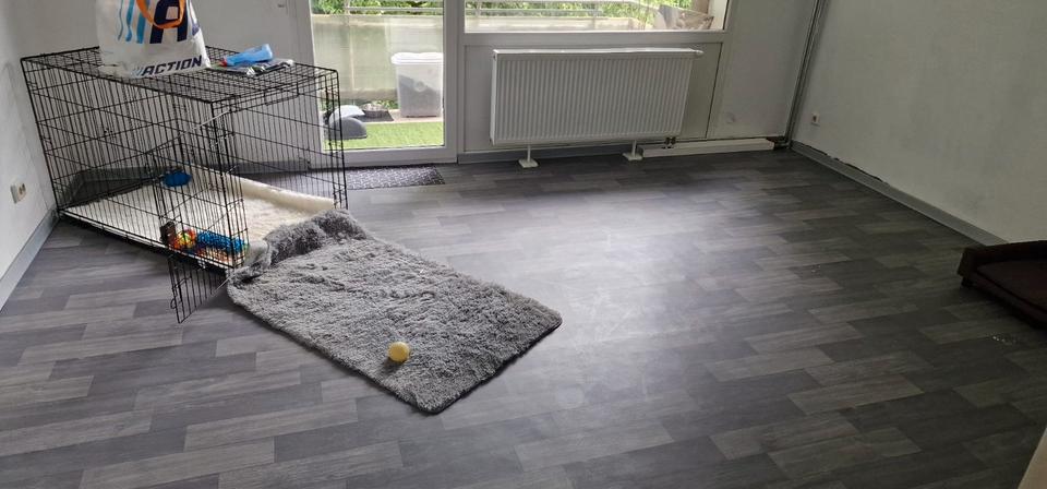 Etagenwohnung Kusel - 4 Zimmer, 73 m&sup2;, 570&euro; | Angebot:25258638