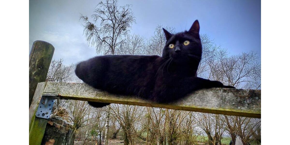 Wohnen auf Zeit Chorin - 3 Zimmer, 35 m&sup2;, 400&euro; | Angebot:25854954