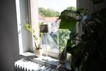 Gewerbeobjekt Ober-Mörlen Mörlen - 20&euro; | Angebot:26042622