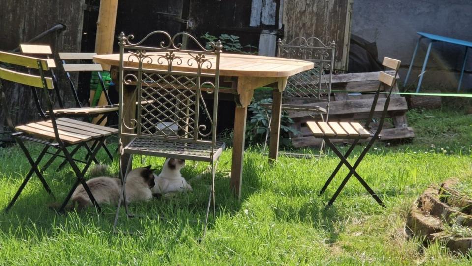 Wohnen auf Zeit Hagen Hagen-Nord - 3 Zimmer, 36 m&sup2;, 500&euro; | Angebot:24571558