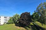 Etagenwohnung Göttingen Grone - 3 Zimmer, 75 m&sup2;, 975&euro; | Angebot:25408671