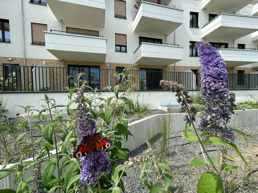 Erstbezug in Grünau an der Dahme! Gehobene NeubauWohnung mit EKB, Terrasse & Gartenanteil
