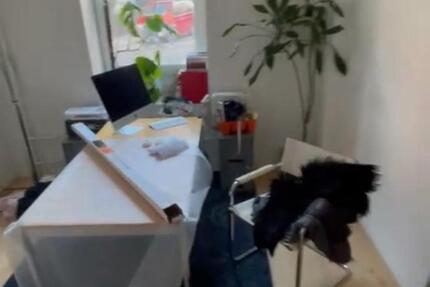 Wg Zimmer ca 14qm 3 zimmer