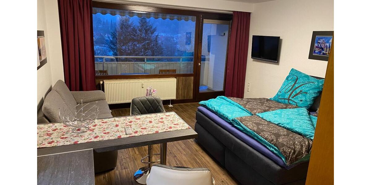 Etagenwohnung Bad Grund (Harz) - 1 Zimmer, 30 m&sup2;, 560&euro; | Angebot:24514412