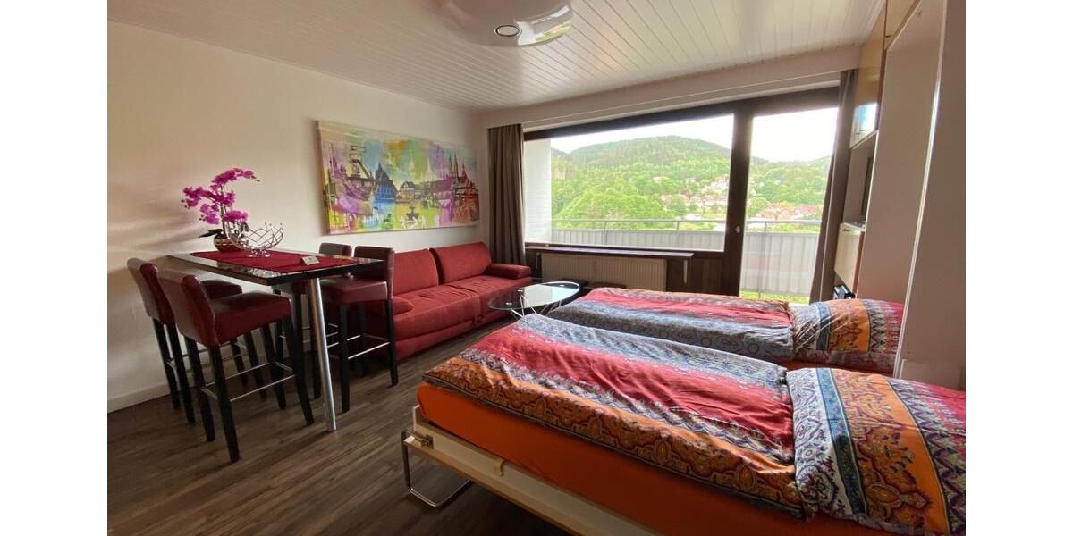 Etagenwohnung Bad Grund (Harz) - 1 Zimmer, 30 m&sup2;, 590&euro; | Angebot:24514412