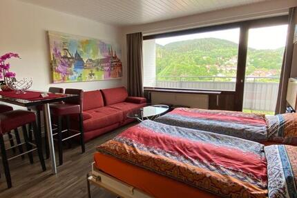 Wohnung Bad Grund (Harz) - 1 Zimmer, 30 m&sup2;, 590&euro; | Angebot:24514412