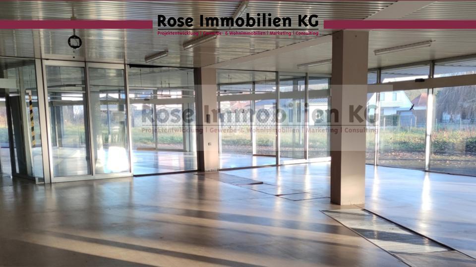 ROSE IMMOBILIEN KG: Ausstellung, Büro und Lager in Löhne nahe der BAB 30! zimmer