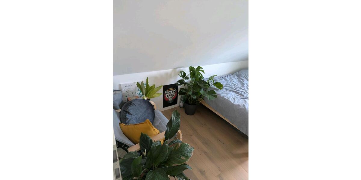 Wohnen auf Zeit Gießen Schlangenzahl - 1 Zimmer, 10 m&sup2;, 340&euro; | Angebot:26568084