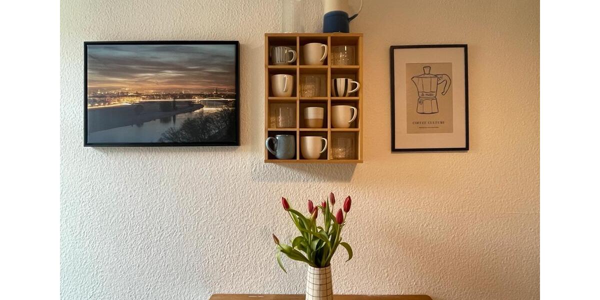 Möblierte 1-Zimmer-Wohnung im Herzen der Dresdner Neustadt 1 zimmer