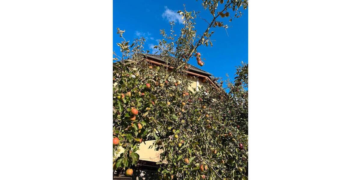 Einfamilienhaus Osann-Monzel Monzel - 5 Zimmer, 160 m&sup2;, 1.000&euro; | Angebot:26096213