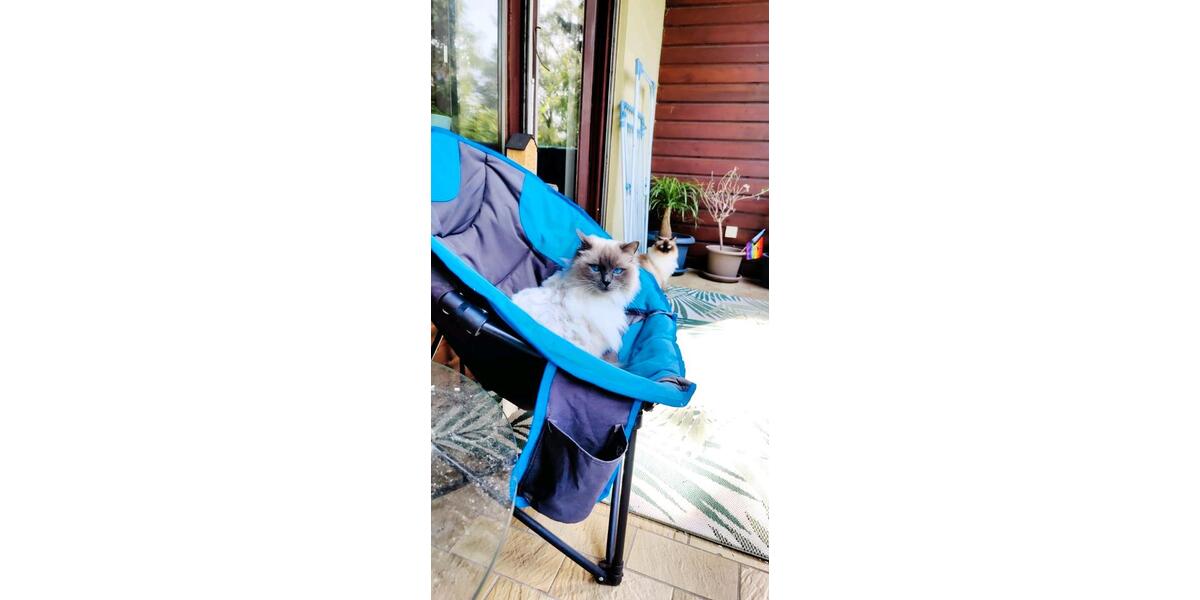 Wohnen auf Zeit Pastetten - 3.5 Zimmer, 105 m&sup2;, 730&euro; | Angebot:25436685