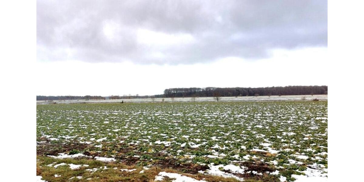 Doppelhaushälfte Tarmstedt - 4 Zimmer, 116 m&sup2;, 950&euro; | Angebot:25342675