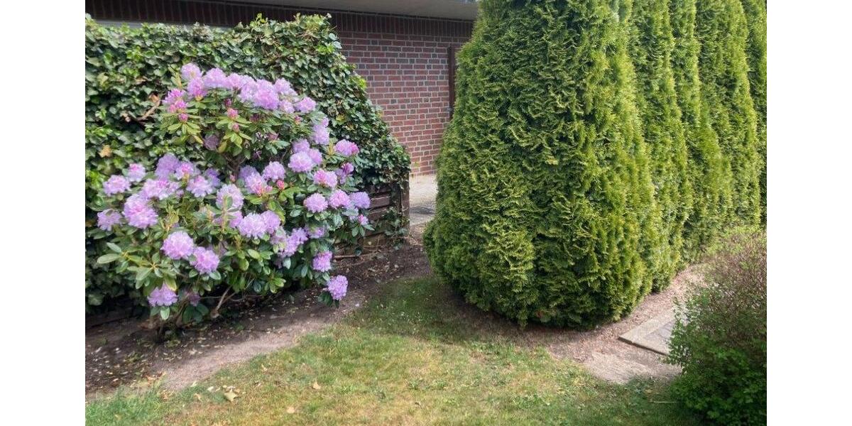 Erdgeschoßwohnung Bad Bramstedt - 2.5 Zimmer, 55 m&sup2;, 750&euro; | Angebot:26655351