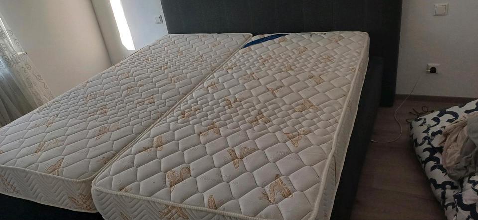20 furnishti room