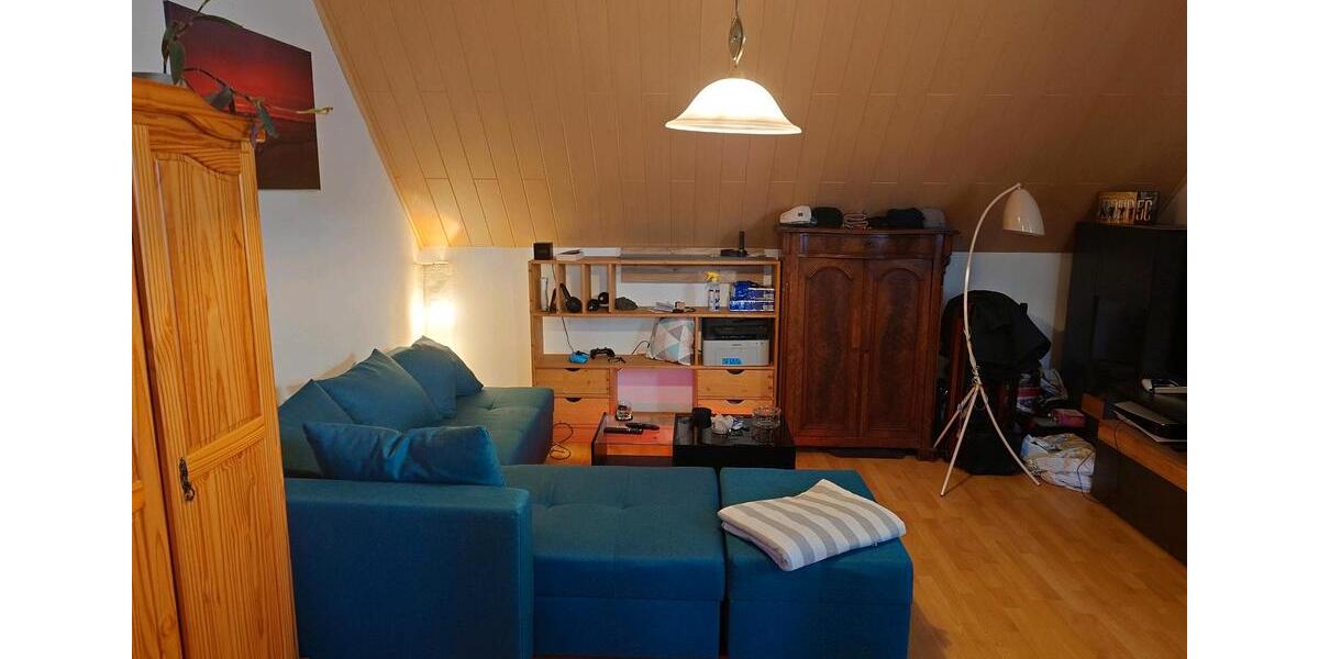 1 Raumwohnung 1 zimmer