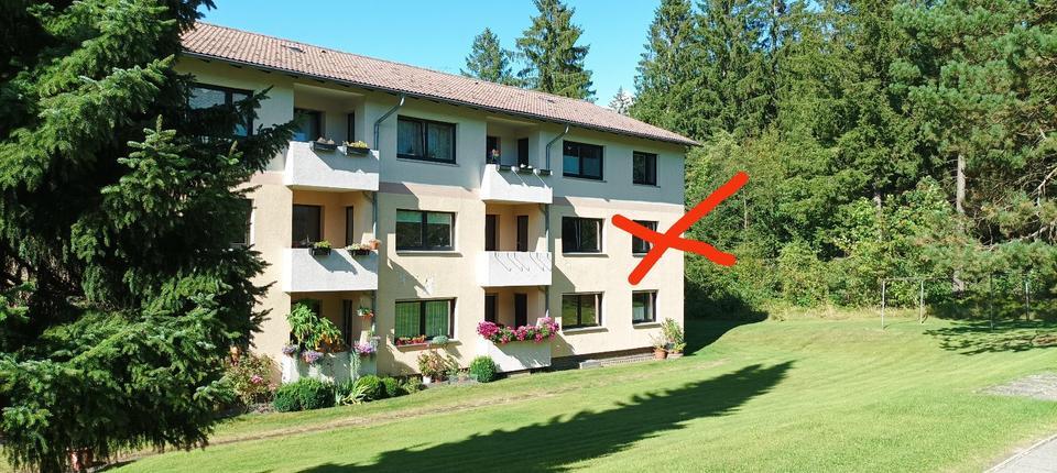 4 Zimmerwohnung mit 2 Balkone in Clausthal-Zellerfeld