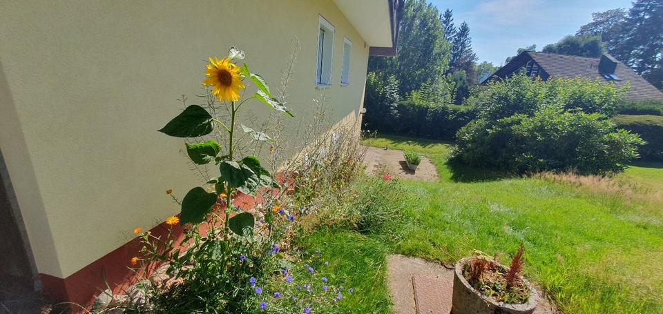 Möblierte Ferienwohnung mit Balkon und Gartennutzung zur Miete 1 zimmer
