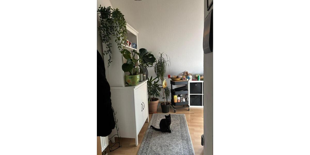 Attraktive, gepflegte 1-Zimmer-Dachgeschosswohnung in Rüthen 1 zimmer