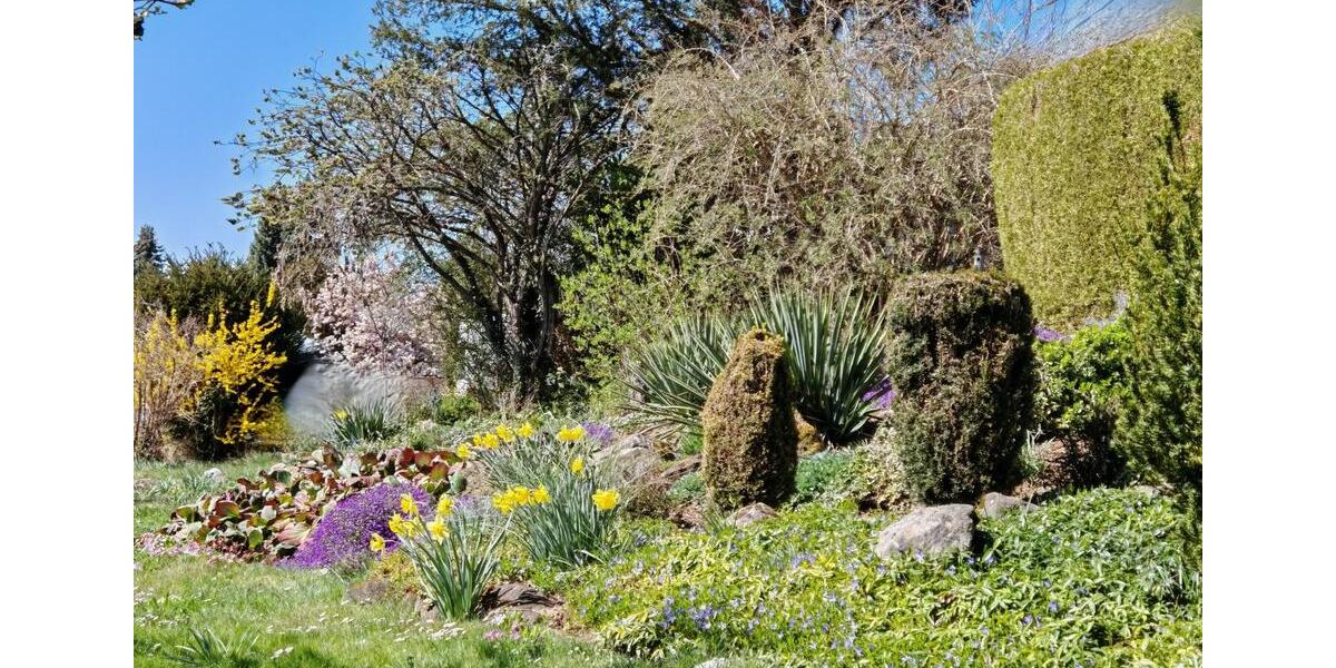 Etagenwohnung Frickenhausen - 3.5 Zimmer, 90 m&sup2;, 1.155&euro; | Angebot:24737986