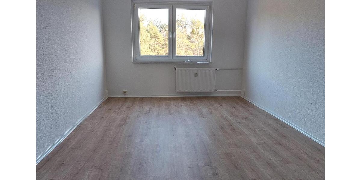 Etagenwohnung Bernsdorf - 3 Zimmer, 48 m&sup2;, 205&euro; | Angebot:19462449